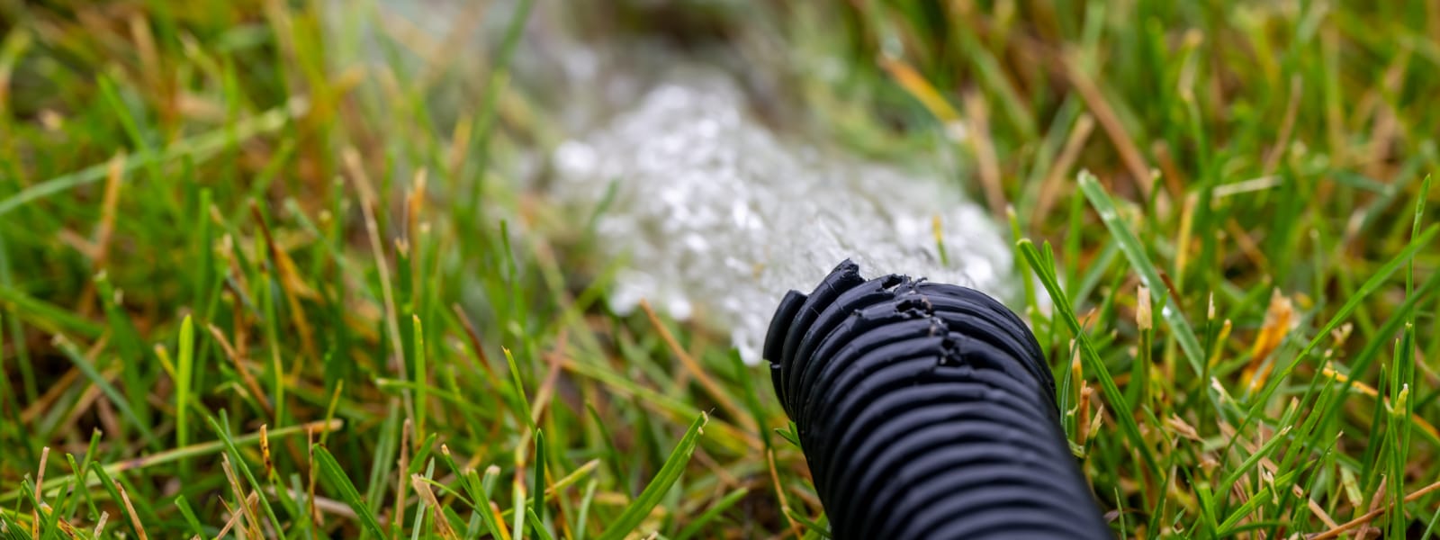 Backup Pumps Orland Park IL